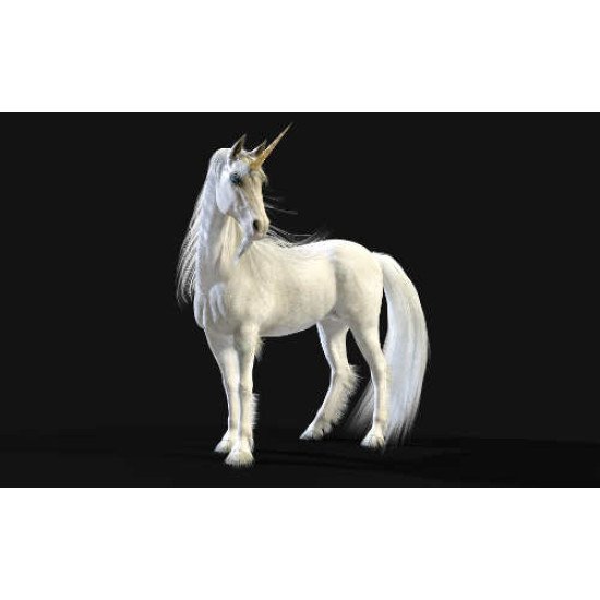 Fototapetai Žirgai - 010