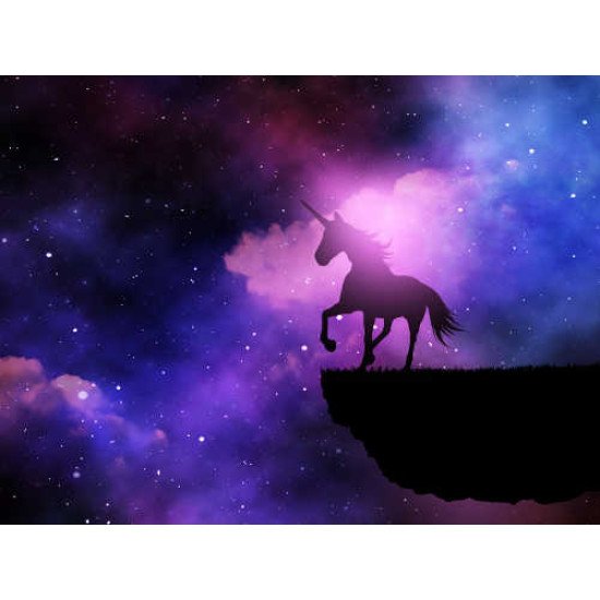 Fototapetai Žirgai - 034