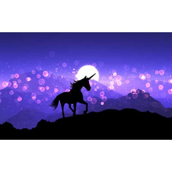 Fototapetai Žirgai - 044