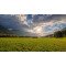 Fototapetai Kalnų tarpeklio laukų peizažas