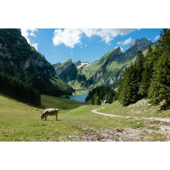 Fototapetai Kalnų takas lydintis link ežero