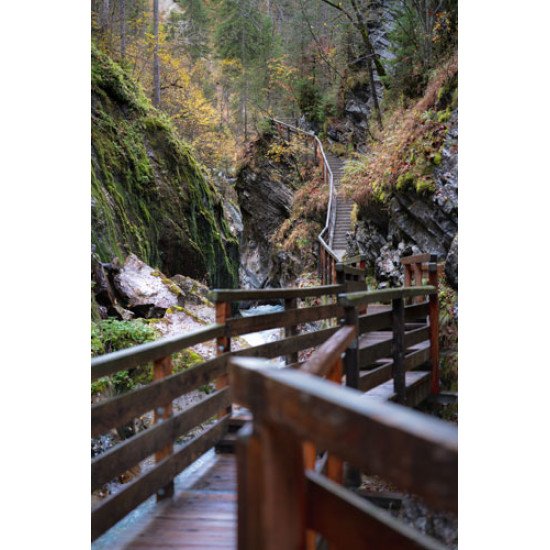 Fototapetai Slėnio pesčiųjų takas