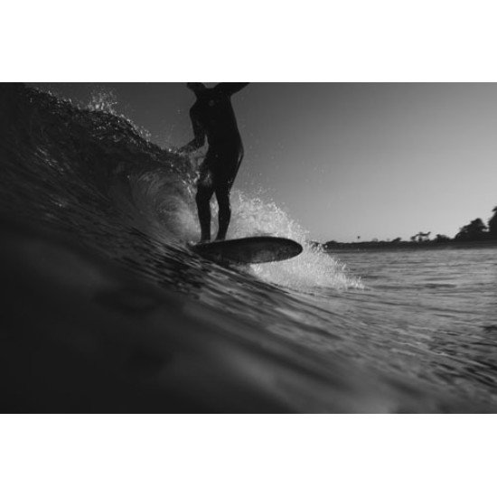 Fototapetai Banglentininkas ant bangos