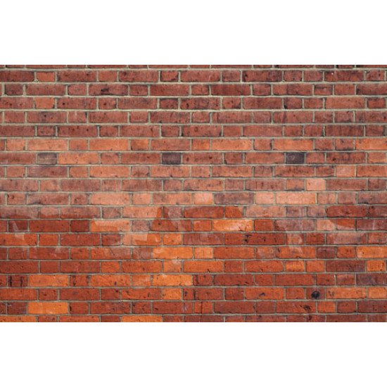 Fototapetai Plytų siena