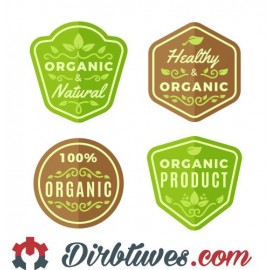 16 vnt, Etiketės-lipdukai Organic, Natural, Healthy, Naturalus, Sveikas