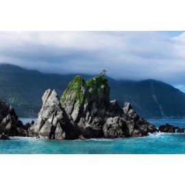 Fototapetas Uolos vandenyne apaugusios vijokliais