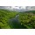 Fototapetas Vinguriuojanti upė miškų apsuptyje