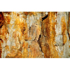 Fototapetai Akmeninė uolos siena