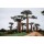Fototapetai Baobabo medžiai laukuose Afrikoje